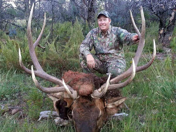 Rifle Elk Hunts Rifle Elk Hunts