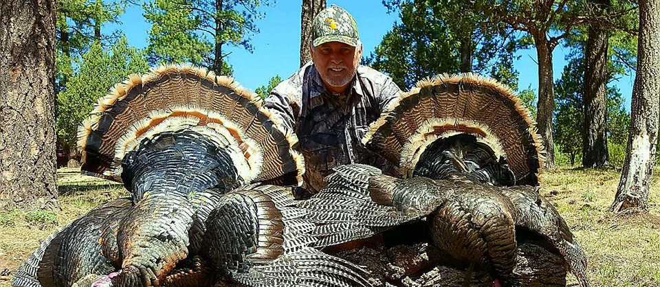 New Mexico Merriam Turkey Hunts