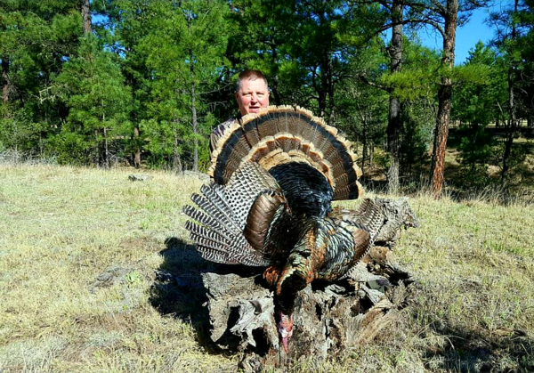Things to Know about Turkey Hunting