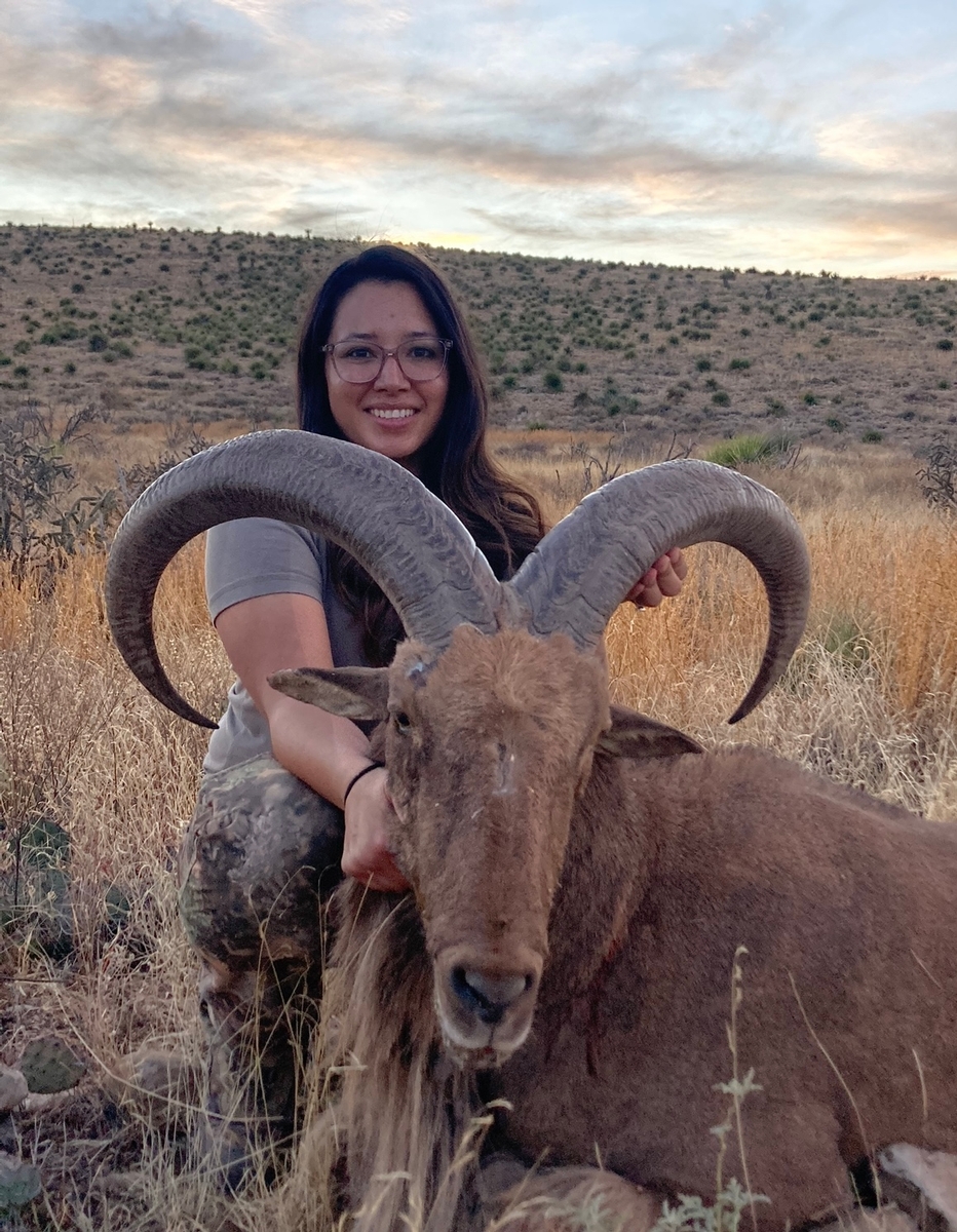 New Mexico Barbary Sheep Hunts Triple C Outfitters