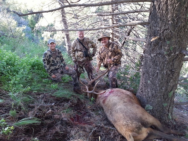 Ready To Book Your Elk Hunt? Ready To Book Your Elk Hunt?