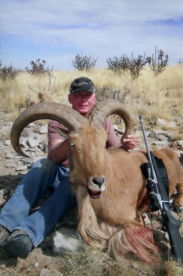 How to Get your Barbary Sheep Tag