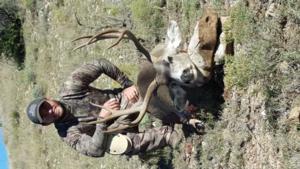 New Mexico Trophy Mule Deer Hunts
