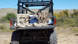 New Mexico Trophy Mule Deer Hunts