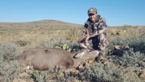 New Mexico Trophy Mule Deer Hunts